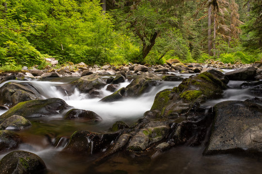 The Quillayute River cascades over moss covered rocks towards the Sol Duc Falls in Olympic National Park