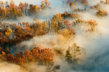 veduta panoramica con nebbia