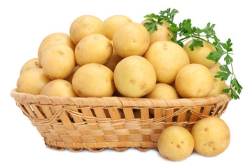 Potatoes in basket on white background