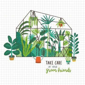 Plants growing in pots or planters inside glass greenhouse and Take Care Of Your Green Friends slogan. Glasshouse or botanical garden. Concept of home gardening. Modern flat vector illustration.