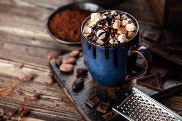 Cup of hot chocolate with marshmallows