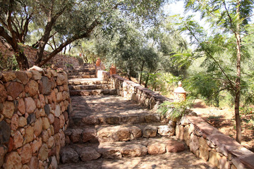 allée dans un jardin