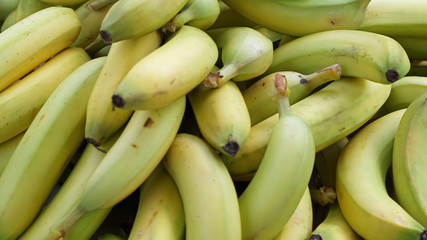 Bunch of green bananas