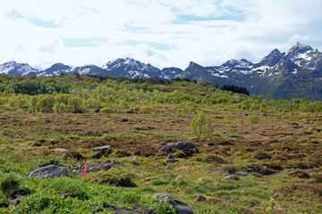 Fototapeta na wymiar Panorama der Landschaft auf den Lofoten Norwegen