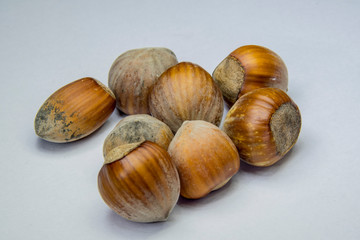 hhazelnut