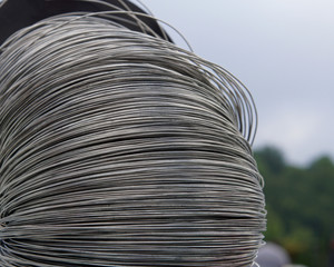 Coil of steel wire