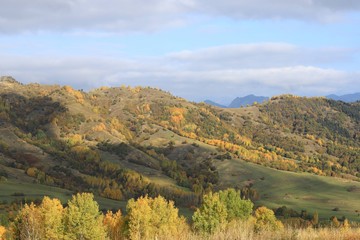 very beautiful autumn photos.savsat/artvin/turkey
