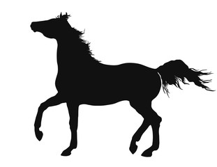Fototapeta na wymiar Vector silhouette of a freely trotting horse.