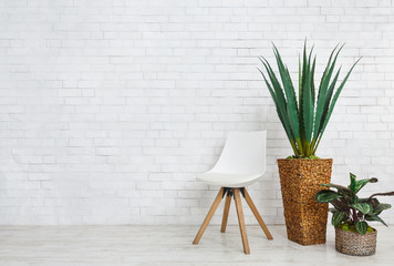 Home plants and chair on white background, copy space
