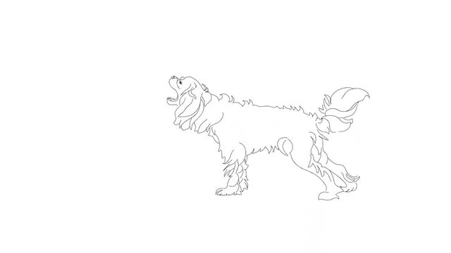 Hand drawn cartoon animation. A cute dog barks and plays. Black and White. Side view.
