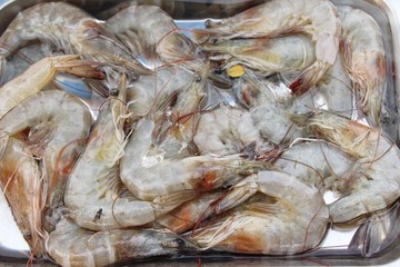 Fresh shrimp for cooking at street food