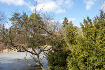 Bright spring park Poniatowski in Poland in the city of Lodz, spring park, frozen lake and ducks