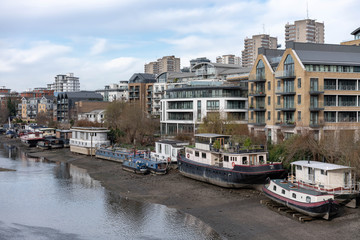 boats in the harbor