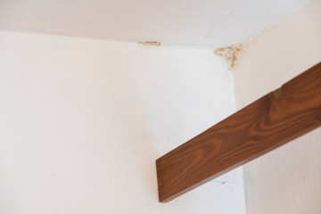 Mold in the top corner of the room.