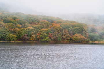戸隠　古池の紅葉