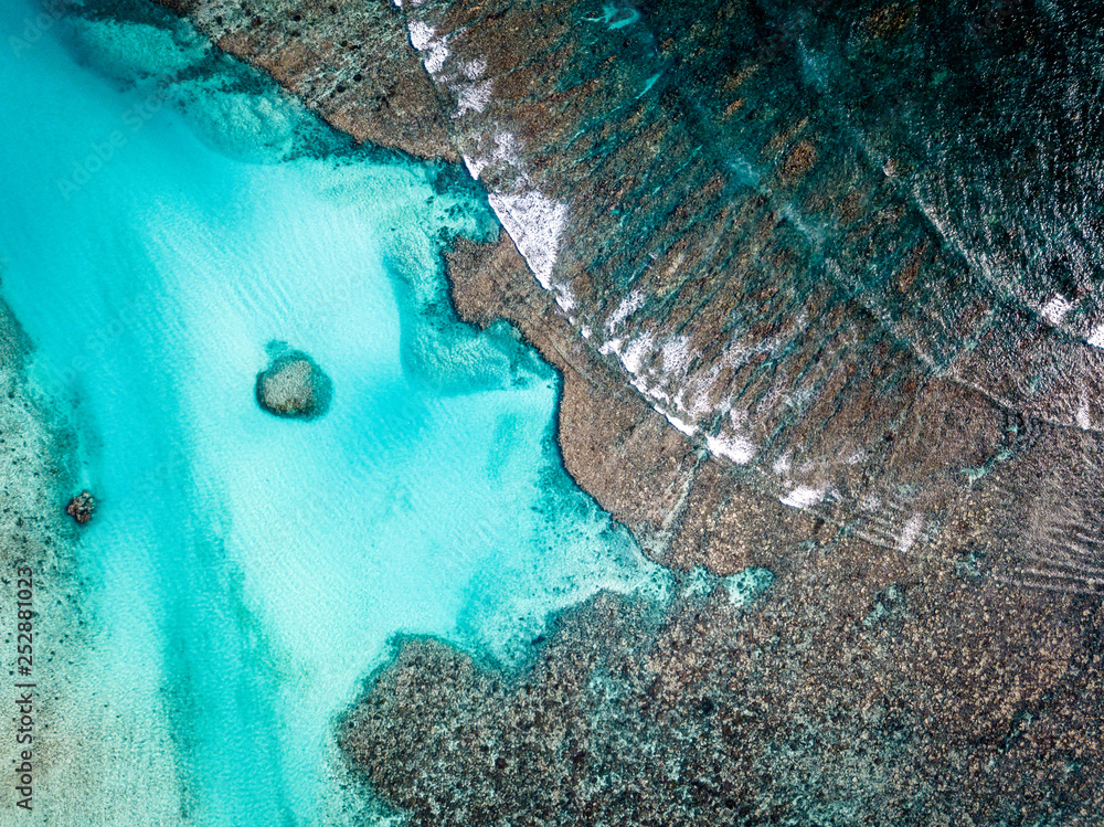 Poster ningaloo