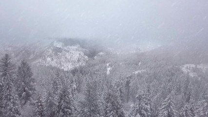 Flying through snow covered mountain forest during a blizzard.