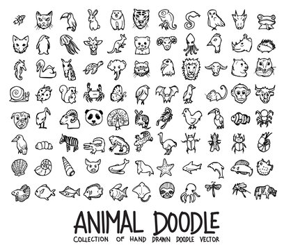 Set Of Animal Icons Drawing Illustration Hand Drawn Doodle Sketch Line Vector Eps10
