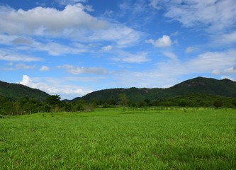 Obraz premium Green field near the hill 