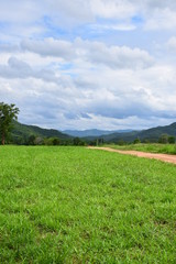 Fototapeta premium Green field near the hill 