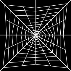 Obraz premium Spider web