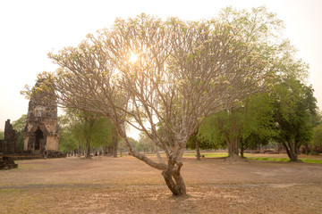 Historic Town of Sukhothai, Sukhothai Historical Park, Wat Si Chum, Thailand.