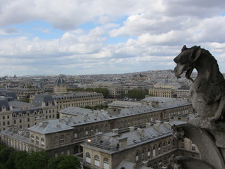 Obraz premium gargoyle over paris