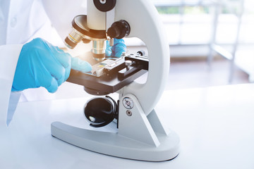 Professional scientists making an experiment while holding microscopy slide in hand, Laboratory...