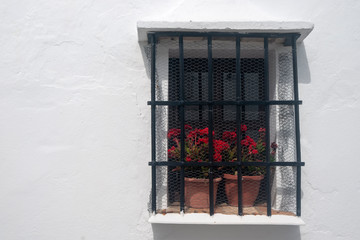 detalle de los pueblos blancos de Andalucía
