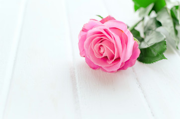 Pink rose over white wooden board. Mother's or Valentine's day concept.