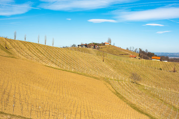 Fototapeta na wymiar Panorama of Vineyards. Leibnitz area south Styria travel spot