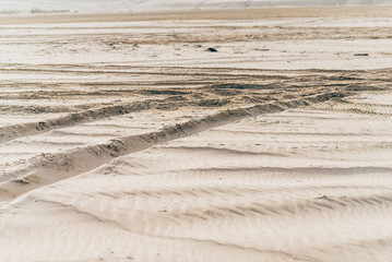 sand background in qatar`s desert