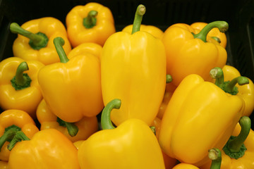 Pile of Vibrant Yellow Fresh Ripe Bell-peppers with Green Stems