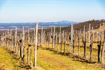 Fototapeta na wymiar Panorama of Vineyards. Kastenburg south Styria travel spot