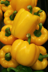 Vertical Image of Heap of Vibrant Yellow Fresh Ripe Bell-peppers with Green Stems