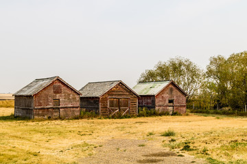 Obraz premium A sign of the times, run diown farm out buildings and barns, Alberta, Canada