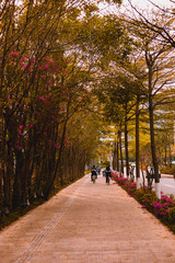 the path of the traveling cyclists. road with flowers