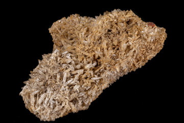 Obraz premium Macro mineral quartz stone with Limonite and Lepidolite black background