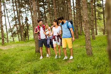 Fototapeta premium Group of four friends hiking together through a forest