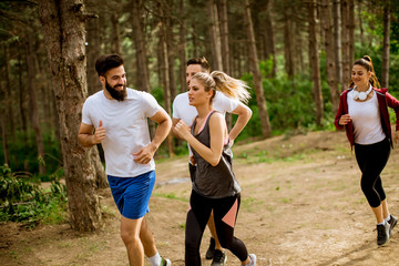 Group of young people run a marathon through the forest