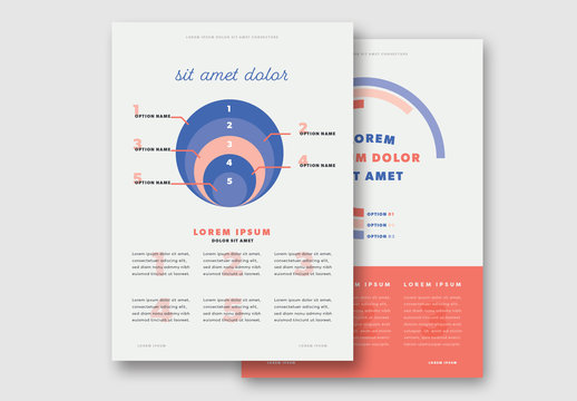 Infographic Presentation Layout with Bright Elements