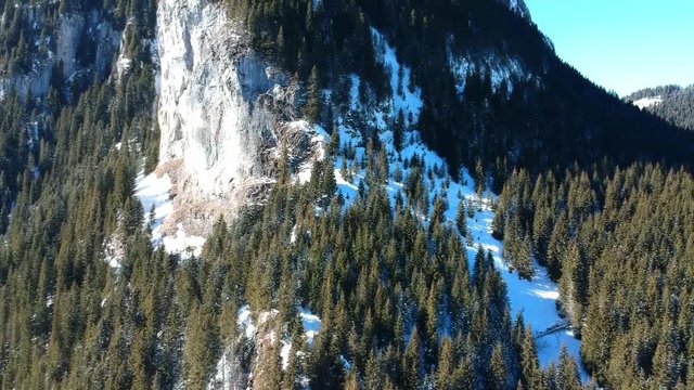 Tall  rock limestone wall covered with fir trees , alpine landscape in Zanoaga Gorge, Bucegi Natural Park , Romania, aerial drone shot in wintertime
