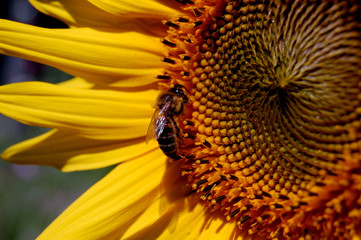 environment/ окружение