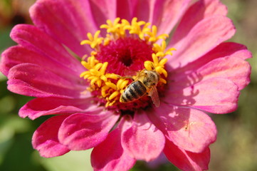 environment/ окружение