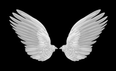 Fototapeta na wymiar White wings on white background
