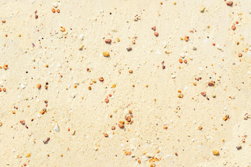 Fototapeta na wymiar Beach sand texture with small rock for background