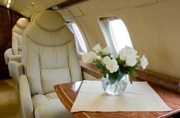 Luxury interior in bright colors of genuine leather in the business jet