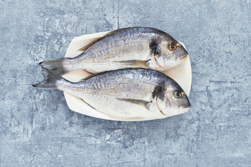 Fresh Royal Dorada on Blue Background. Healthy food concept. Top view, copy space.