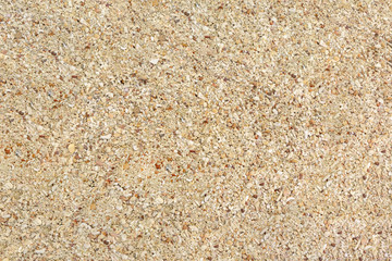 Beach sand with seashells and coral for texture