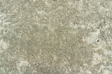Beach sand texture with ghost crab holes